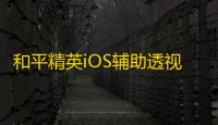 和平精英iOS辅助透视下载指南：使用风险与安全步骤详解