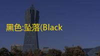 黑色:坠落(Black The Fall) 官方中文免安装版